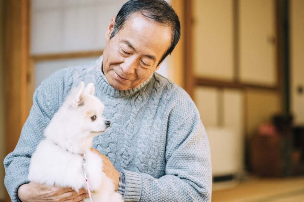老人ホーム　ペット可　北海道-犬とシニア
